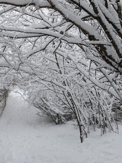 Lakewood Off-Leash Dog Area - Wauconda, IL