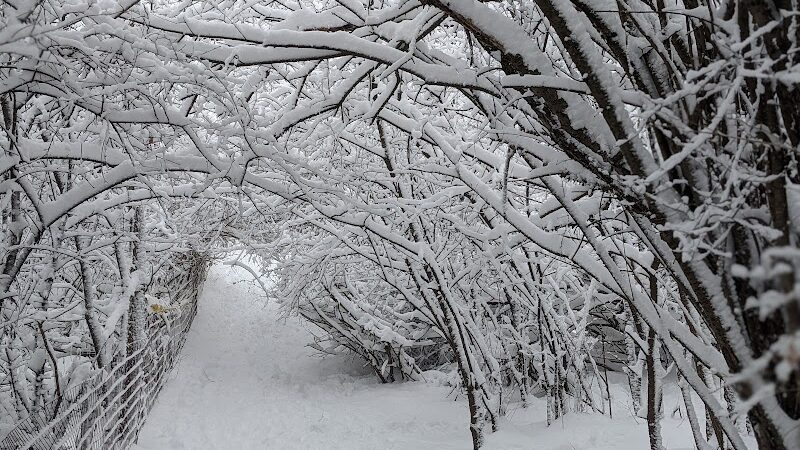 Lakewood Off-Leash Dog Area - Wauconda, IL
