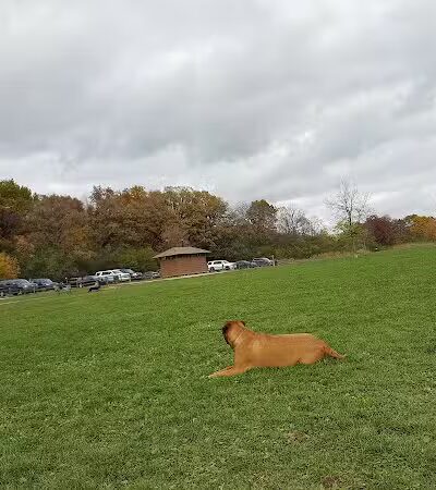 Lakewood Off-Leash Dog Area - Wauconda, IL