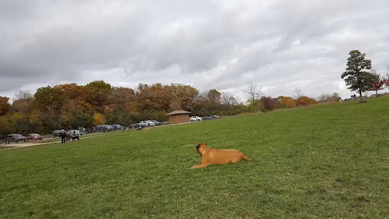 Lakewood Off-Leash Dog Area - Wauconda, IL