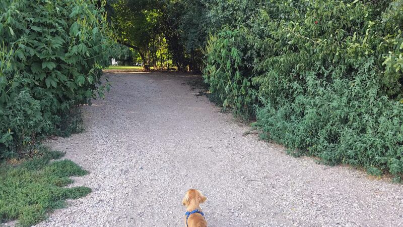 Lakewood Off-Leash Dog Area - Wauconda, IL