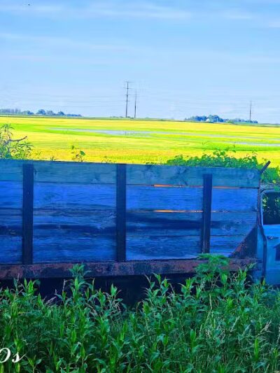 Raccoon River Valley Trailhead - Waukee, IA