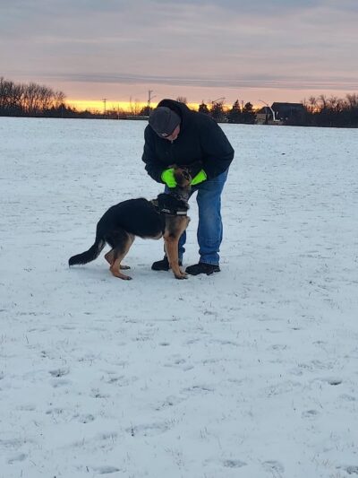 Waukegan Savanna Off-Leash Dog Area - Waukegan, IL
