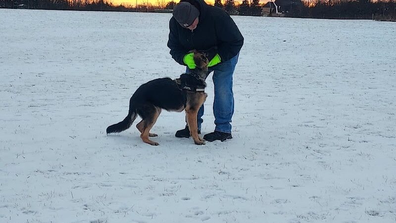 Waukegan Savanna Off-Leash Dog Area - Waukegan, IL