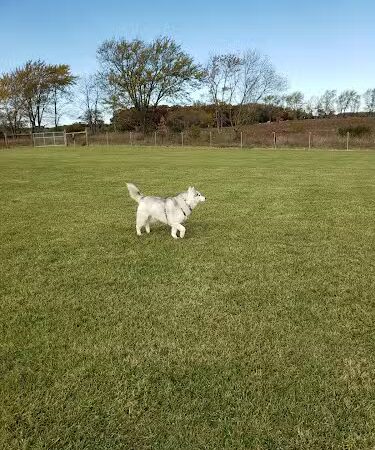 Waukegan Savanna Off-Leash Dog Area - Waukegan, IL