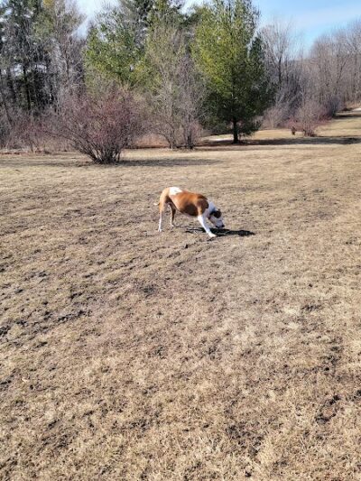 Minooka Dog Park - Waukesha, WI