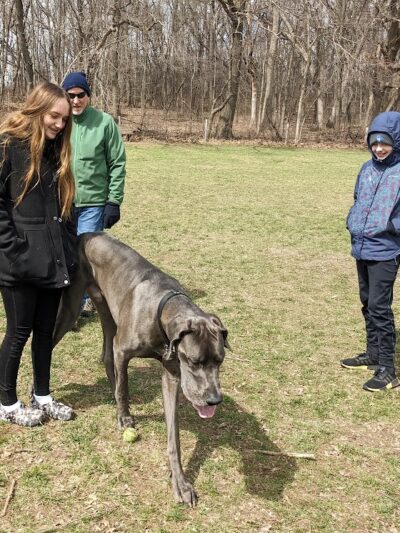 Minooka Dog Park - Waukesha, WI