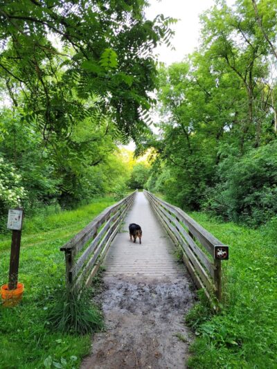 Minooka Dog Park - Waukesha, WI