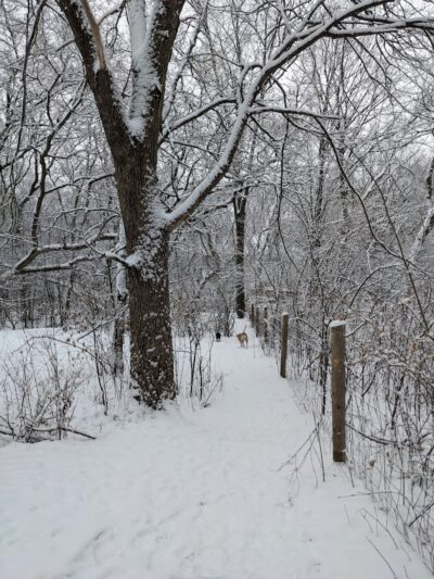 Minooka Dog Park - Waukesha, WI
