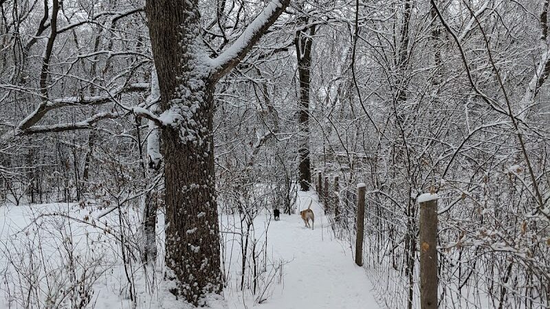 Minooka Dog Park - Waukesha, WI