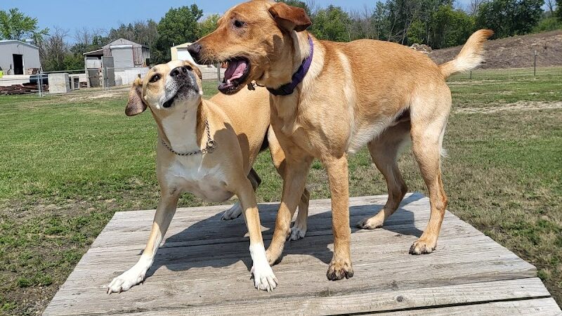 Waupun Dog Park - Waupun, WI