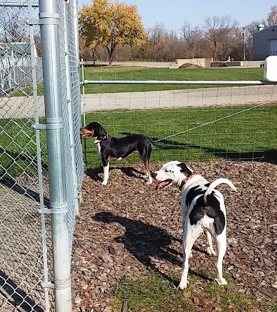 Waupun Dog Park - Waupun, WI