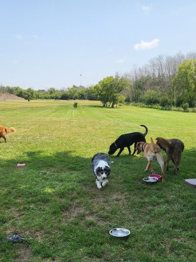 Waupun Dog Park - Waupun, WI