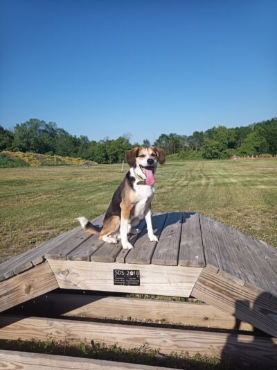 Waupun Dog Park - Waupun, WI
