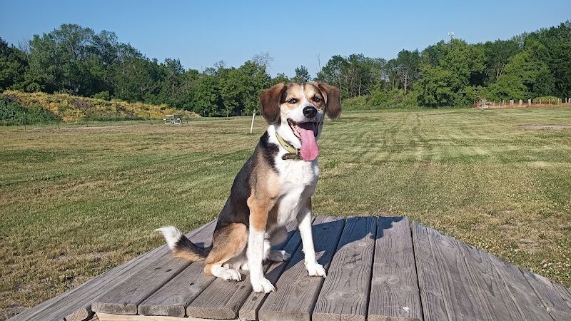 Waupun Dog Park - Waupun, WI