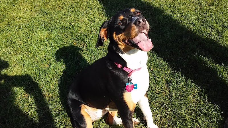 Waupun Dog Park - Waupun, WI