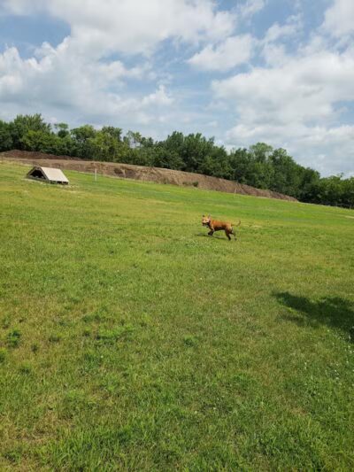 Waupun Dog Park - Waupun, WI