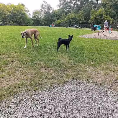 Wausau Two Hearts Dog Park - Wausau, WI