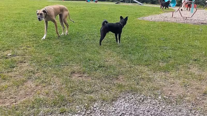 Wausau Two Hearts Dog Park - Wausau, WI