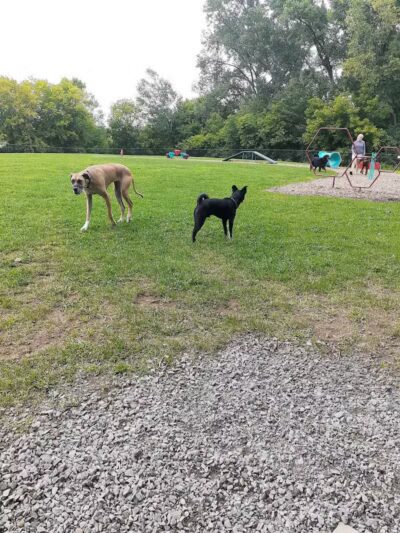 Wausau Two Hearts Dog Park - Wausau, WI