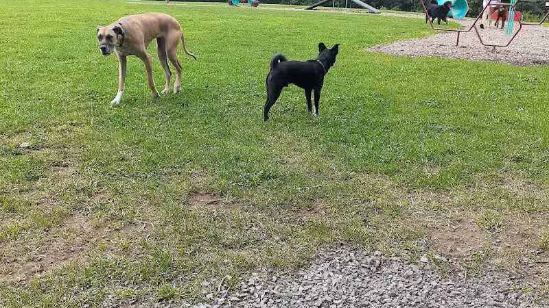 Wausau Two Hearts Dog Park - Wausau, WI