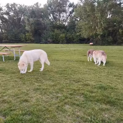 Wausau Two Hearts Dog Park - Wausau, WI