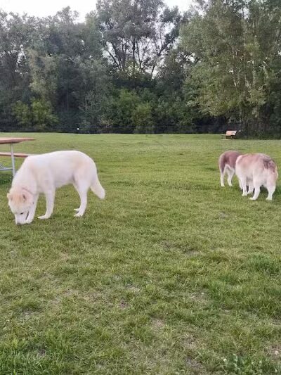 Wausau Two Hearts Dog Park - Wausau, WI