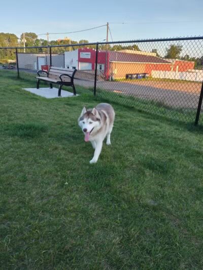 Wausau Two Hearts Dog Park - Wausau, WI