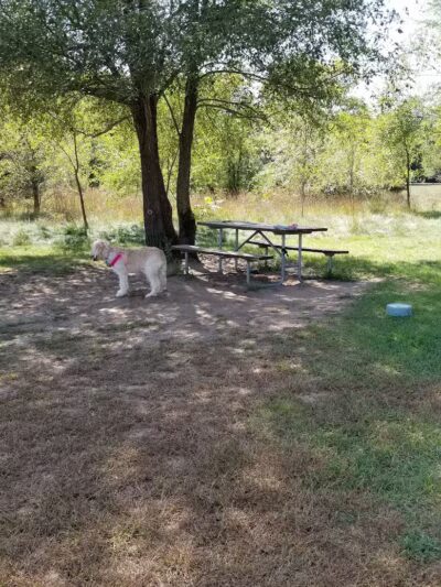 Sandcrest Dog Park - Wautoma, WI