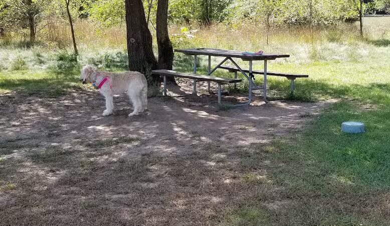 Sandcrest Dog Park - Wautoma, WI