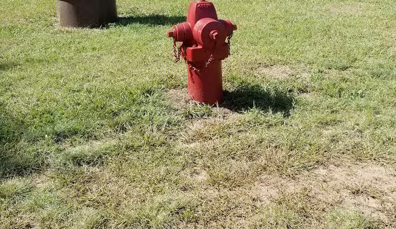 Sandcrest Dog Park - Wautoma, WI