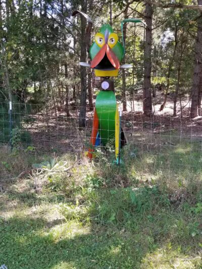 Sandcrest Dog Park - Wautoma, WI