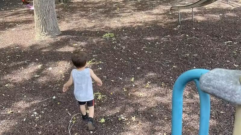 Minnisink Park - Wayne, NJ