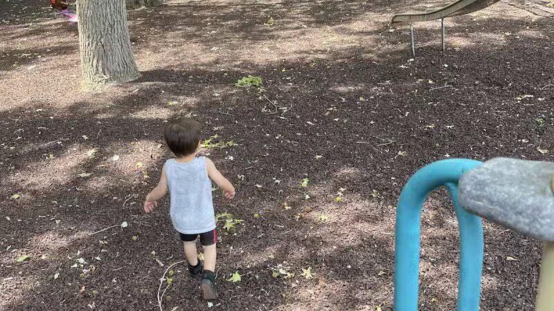 Minnisink Park - Wayne, NJ