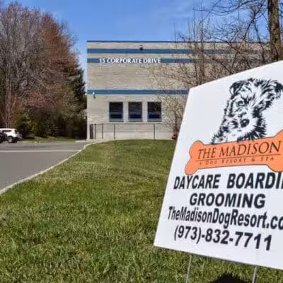 The Madison Dog Resort & Spa - Wayne, NJ