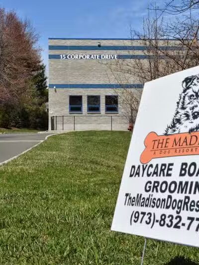 The Madison Dog Resort & Spa - Wayne, NJ
