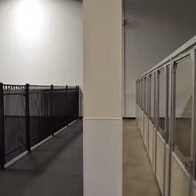 The Madison Dog Resort & Spa - Wayne, NJ