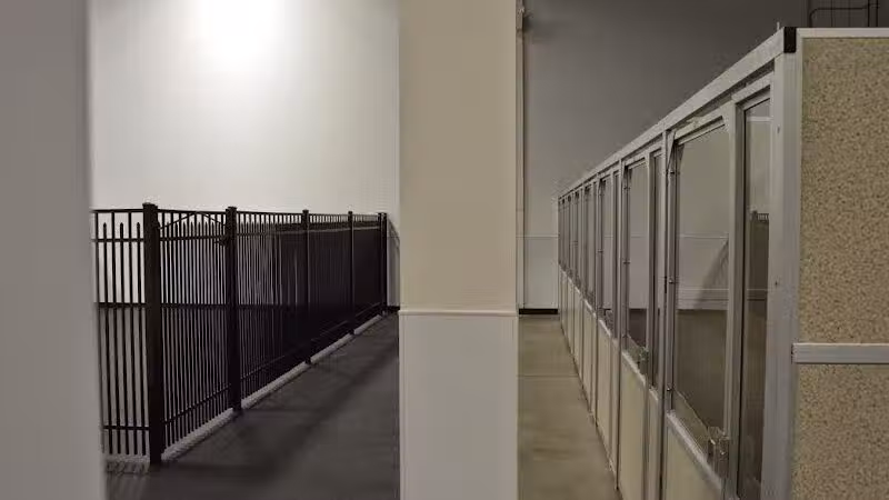 The Madison Dog Resort & Spa - Wayne, NJ