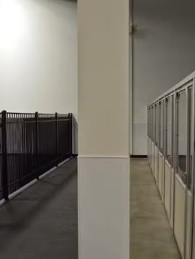 The Madison Dog Resort & Spa - Wayne, NJ