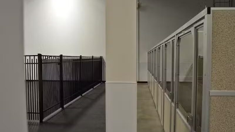 The Madison Dog Resort & Spa - Wayne, NJ