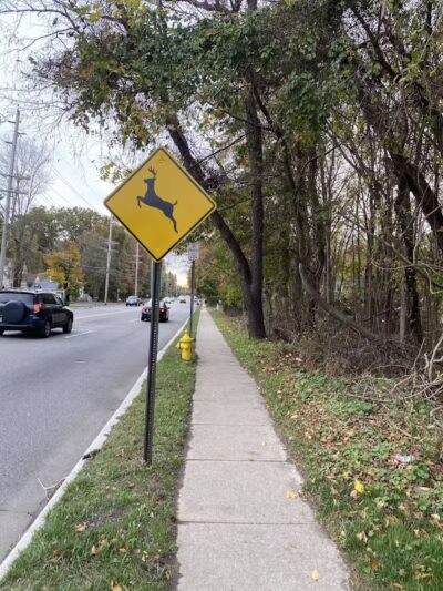 Tintle Park - Wayne, NJ