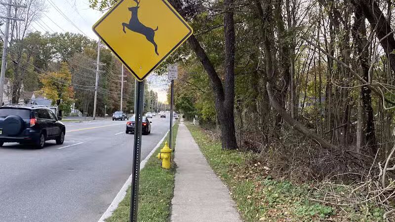 Tintle Park - Wayne, NJ