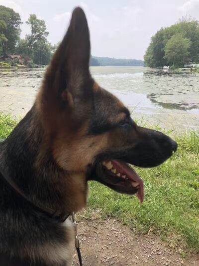 West Beach Park - Wayne, NJ