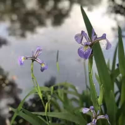 West Beach Park - Wayne, NJ