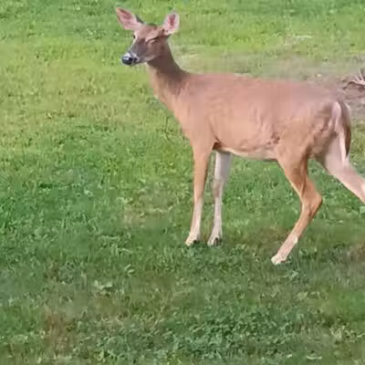 West Beach Park - Wayne, NJ