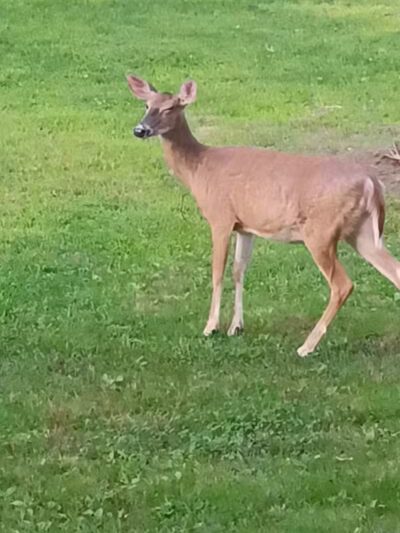 West Beach Park - Wayne, NJ