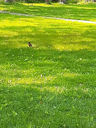 West Beach Park - Wayne, NJ