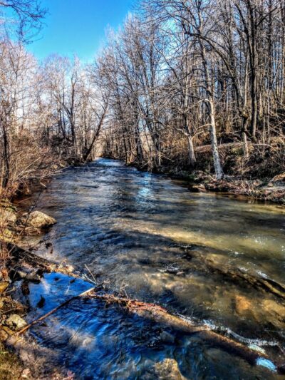 Waynesville Dog Park - Waynesville, NC