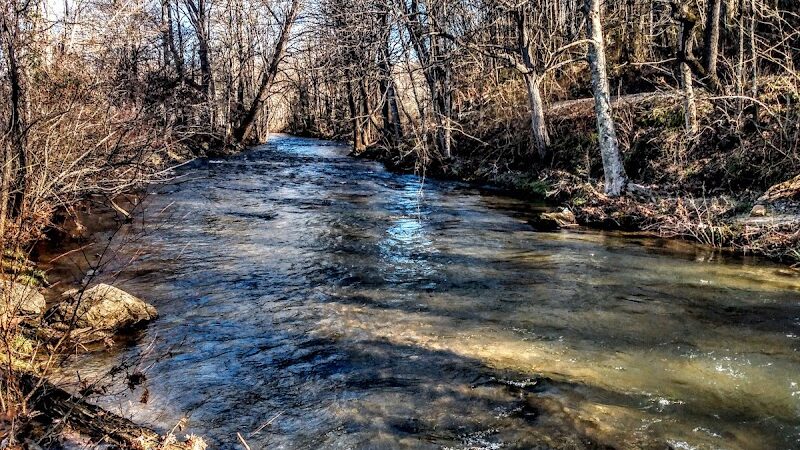 Waynesville Dog Park - Waynesville, NC