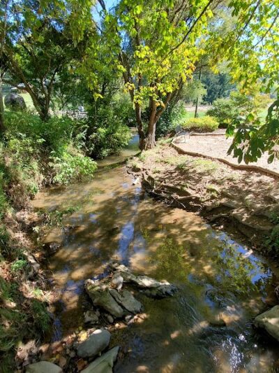 Waynesville Dog Park - Waynesville, NC